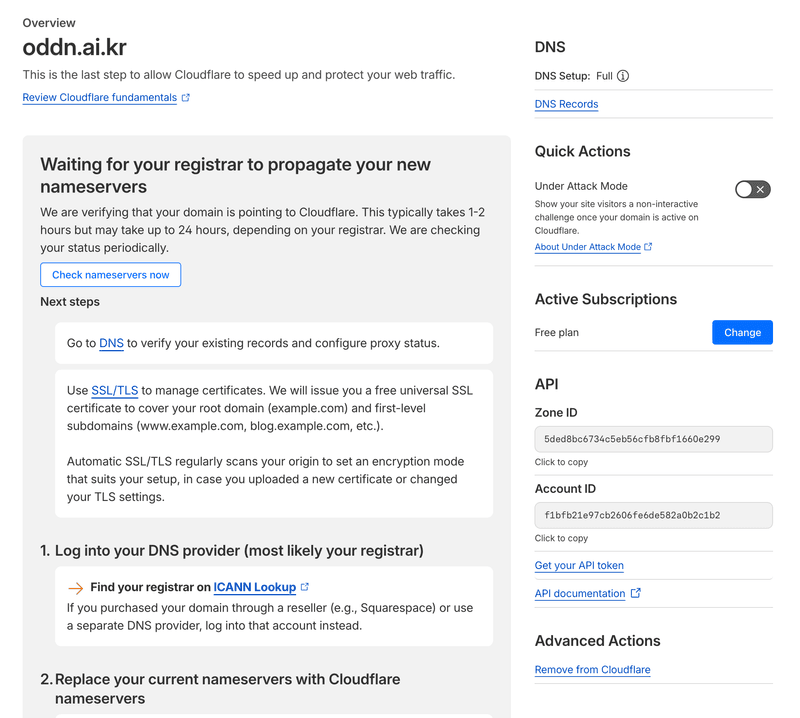 Cloudflare nameserver 전파 대기 화면